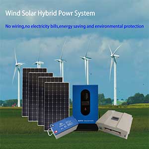 300w Solar Wind Power Generator System Residential Wind Solar Hybrid System